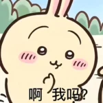Chihiro的头像-小圈子
