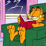 FreeCat06的头像-小圈子